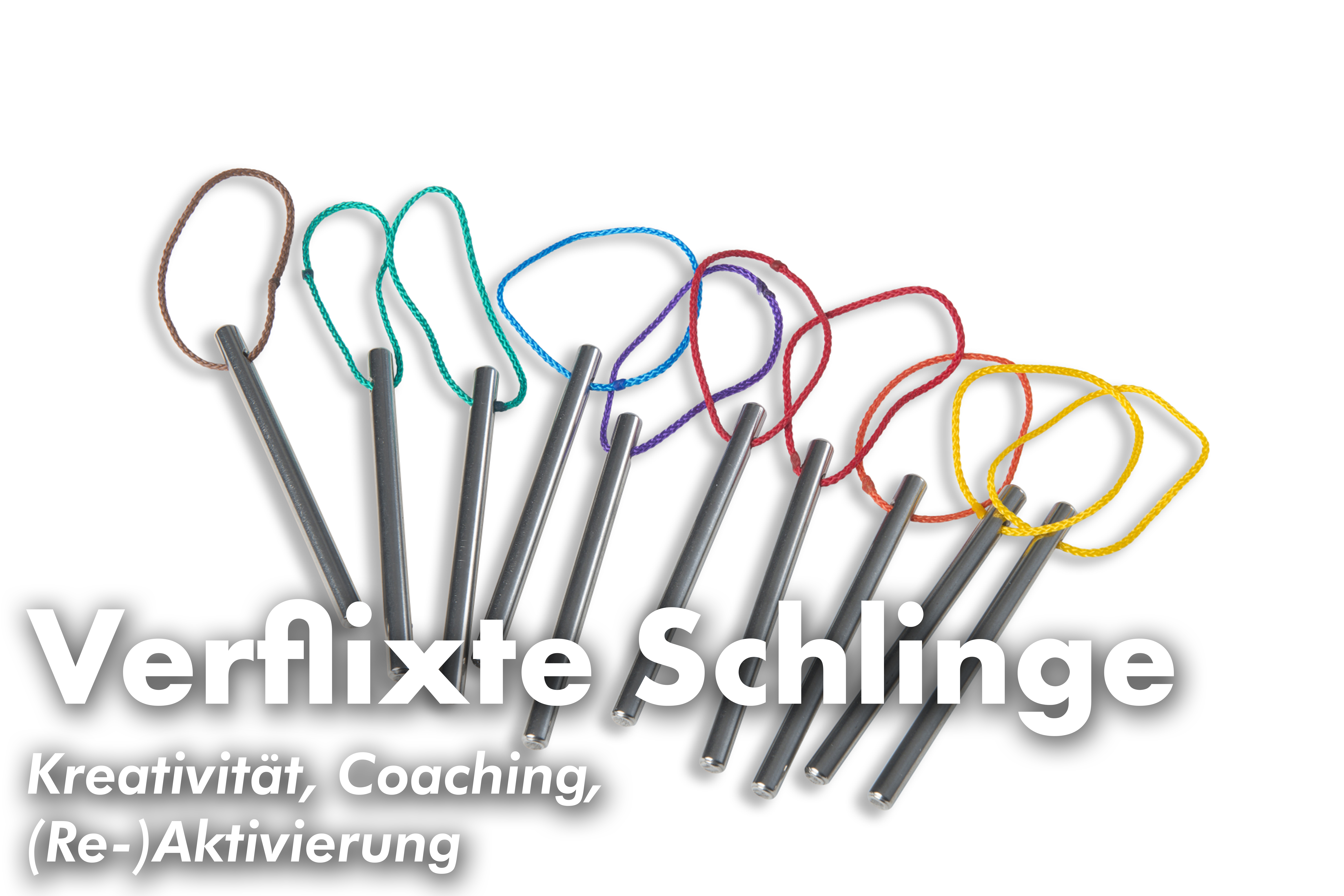 https://metalog.de/media/video-gallery-local/18f2880b3e93-Verflixte-Schlinge.png