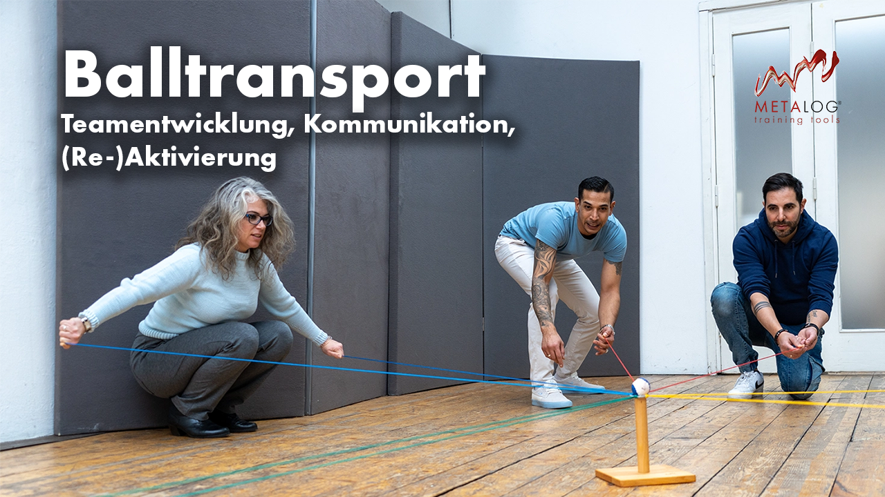 https://metalog.de/media/video-gallery-local/53da97dc06c2-Balltransport.png
