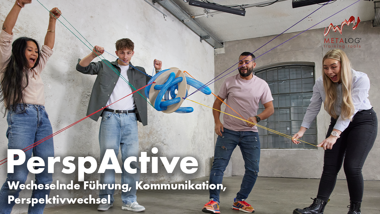 https://metalog.de/media/video-gallery-local/5b876f90c920-PerspActive.png