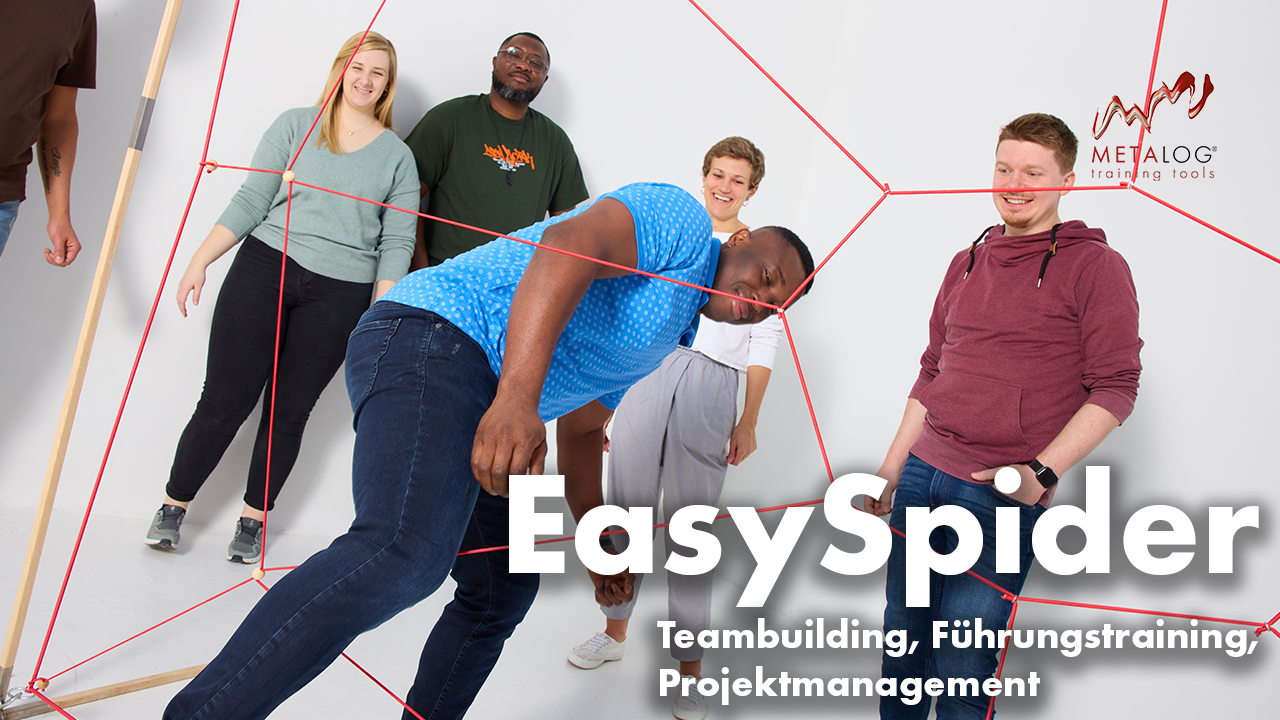 https://metalog.de/media/video-gallery-local/a7208acd7884-EasySpider.png