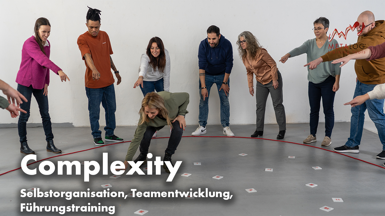 https://metalog.de/media/video-gallery-local/ac10d2bfd5b7-Complexity.png